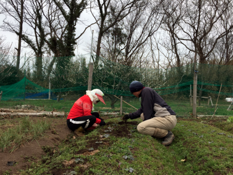 スクリーンショット 2016-03-13 21.17.52.png