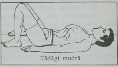 タダキムドラー